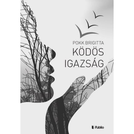 Ködös igazság