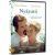 Nyárutó - DVD