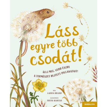 Láss egyre több csodát!