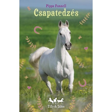 Csapatedzés - Tilly és Táltos