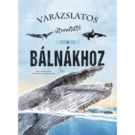 Varázslatos útmutató a bálnákhoz