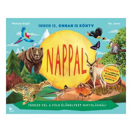 Nappal / Éjszaka - Innen is, onnan is könyv