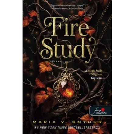 Fire Study - Tűztan (Study 3.)